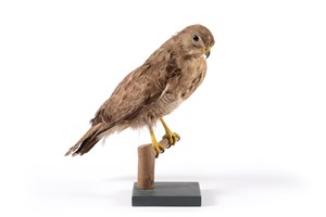 Image description is not available for 2015.6.3